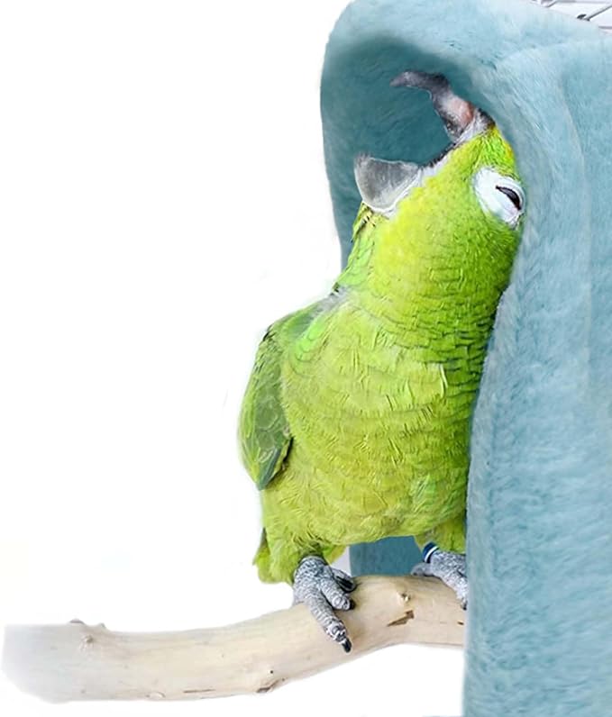 Birdcage Accessories