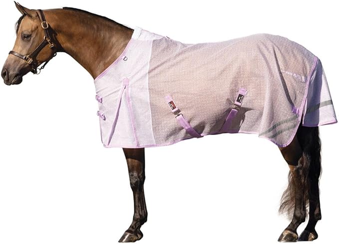 Horse Blankets & Sheets