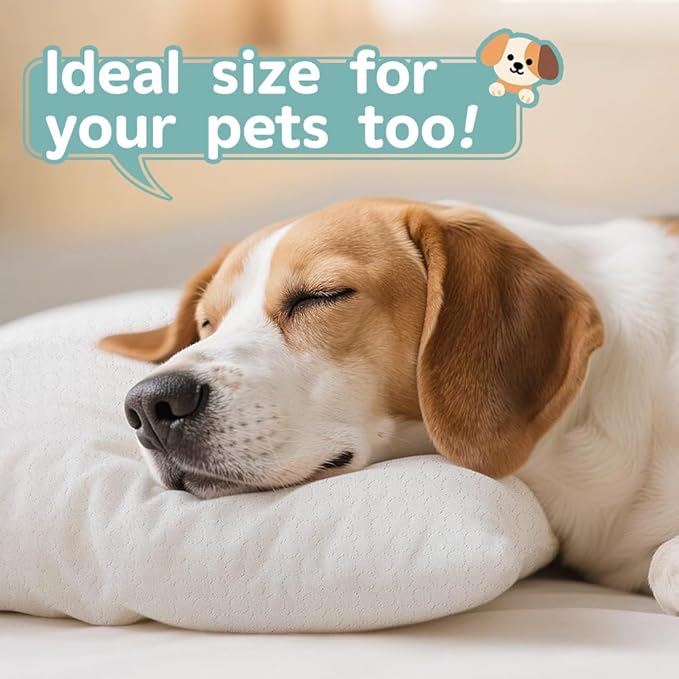 Toddler Pillow for 2-5 Year Olds,Organic Cotton Toddler Crib Pillow with Washable Cover,13x18 Inch White Pillow for Toddler Bed