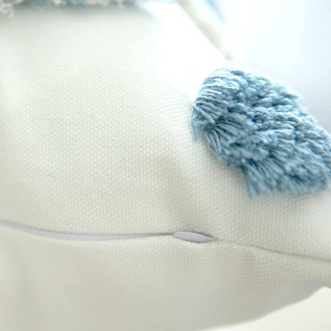 Set of 2 Cotton Woven Boho Throw Pillow Covers, Tufted Decorative Square Pillowcases Covers with Tassels for Couch Sofa Bed, Living Room Sofa, Farmhouse, 20x20 Inch Blue(2 pcs)