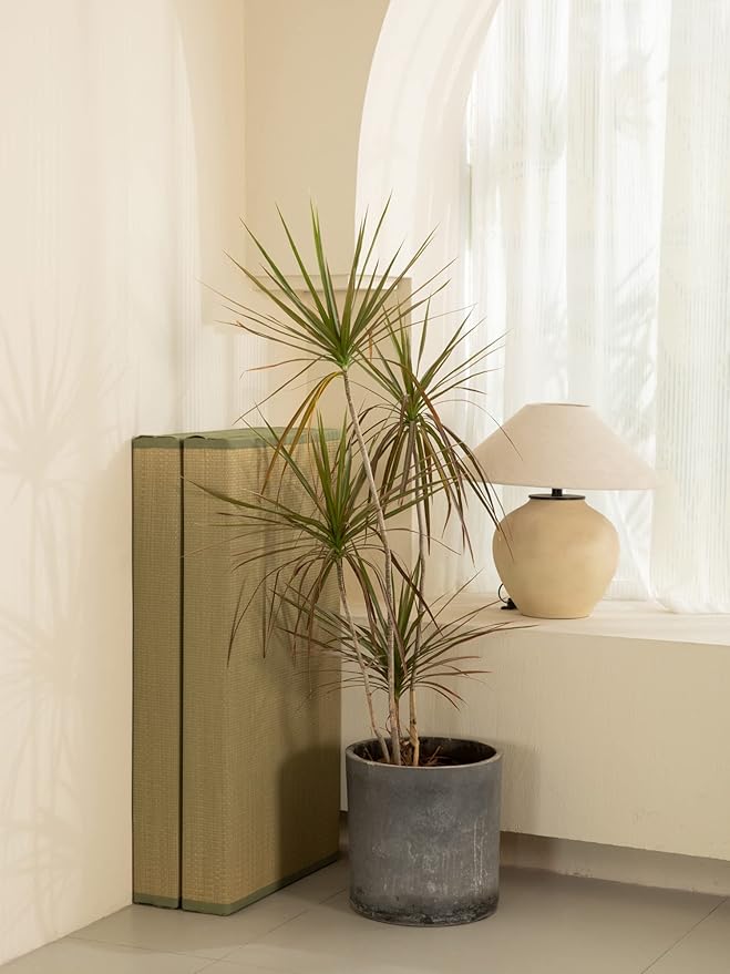 MustMat Thick Tatami Mat Twin XL Floor Mattress Japanese Tatami Bed with Storage Bag 39 x 80 x 2 in (Green)