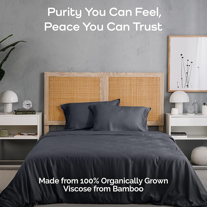 Duvet Cover Set - 100% Viscose Derived from Bamboo Duvet Cover Queen Size, 3 PC Luxury Cooling Duvet Cover for Hot Sleepers, Buttery Soft Comforter Cover & 2 PC Queen Pillowcases, Charcoal