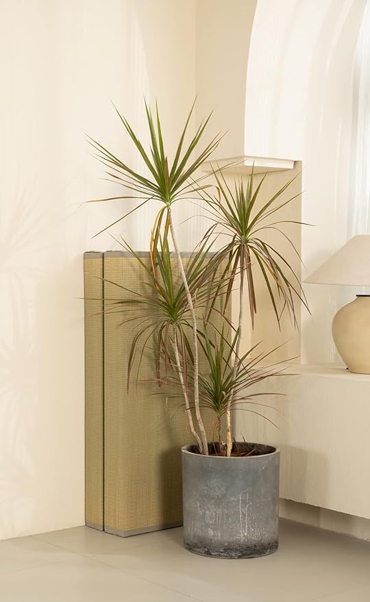 MustMat Thick Tatami Mat Twin XL Floor Mattress Japanese Tatami Bed with Storage Bag 39 x 80 x 2 in (Gray)