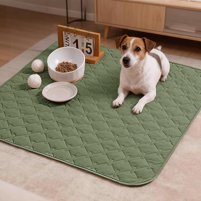 gogobunny 100% Double-Sided Waterproof Dog Bed Cover Pet Blanket Sofa Couch Furniture Protector for Puppy Large Dog Cat, Reversible (30x30 Inch (Pack of 1), Dark Green/Light Green)