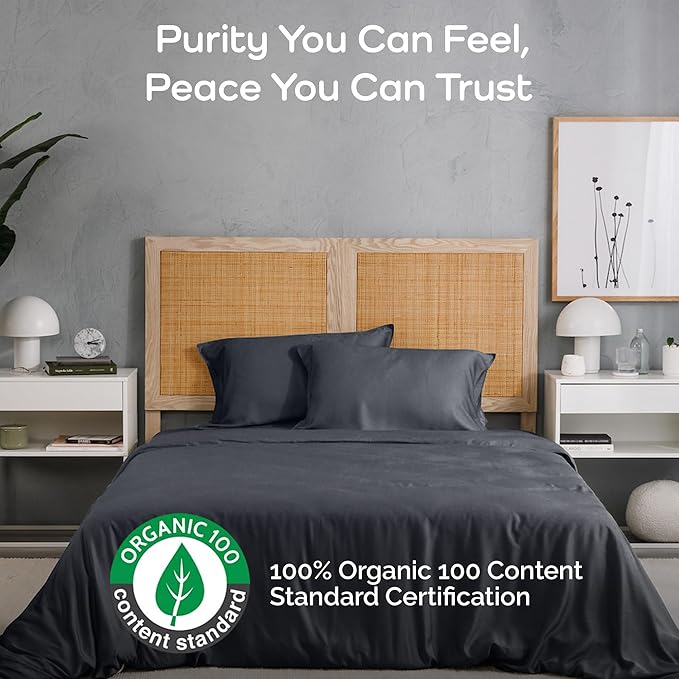 Duvet Cover Set - 100% Viscose Derived from Bamboo Duvet Cover King Size, 3 PC Luxury Cooling Duvet Cover for Hot Sleepers, Buttery Soft Comforter Cover & 2 PC King Pillowcases, Charcoal