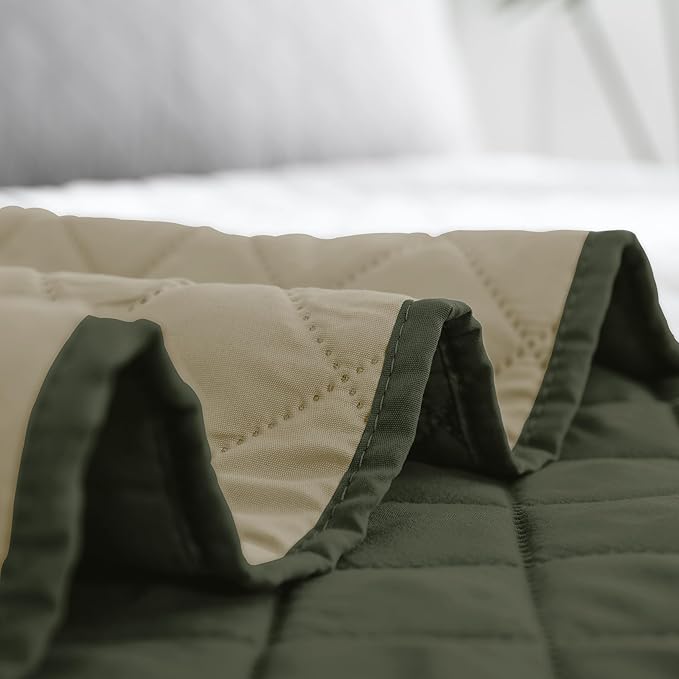 Easy-Going Full/Queen Size Reversible Quilt Set with 1 Quilt and 2 Pillow Shams, Soft Bed Quilt Cover, Water Resistant Lightweight Microfiber Bedspread, Stain Resistant, Army Green/Beige