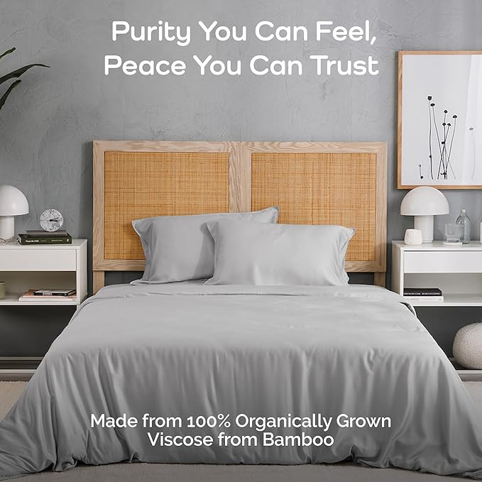 Duvet Cover Set - 100% Viscose Derived from Bamboo Duvet Cover Queen Size, 3 PC Luxury Cooling Duvet Cover for Hot Sleepers, Buttery Soft Comforter Cover & 2 PC Queen Pillowcases, Gray Mist