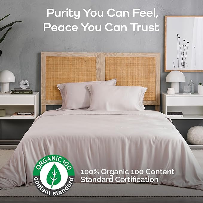 Duvet Cover Set - 100% Viscose Derived from Bamboo Duvet Cover Queen Size, 3 PC Luxury Cooling Duvet Cover for Hot Sleepers, Silky Buttery Soft Comforter Cover & 2 PC Queen Pillowcases, Blush