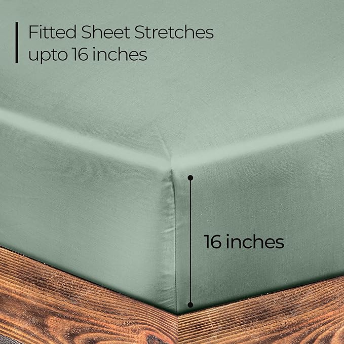 ROYALE LINENS 300 Thread Count 100% Long Staple Combed Cotton Fitted Sheet Twin XL - Super Soft Deep Pocket Bottom Sheet - Fitted Sheets Only - Elastic Sheets (Twin XL, Sage Green)