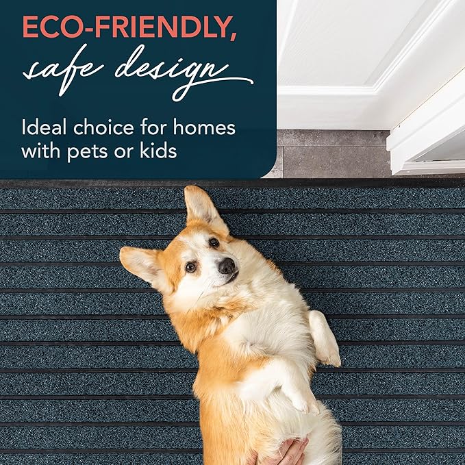 ubdyo Extra Durable Door Mat - Dirt Trapping Outdoor Welcome Mats - Non-Slip Outdoor Indoor Entrance - Low Profile Front Doormat (47" x 32", Bright Blue)