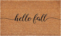Calloway Mills Hello Fall Doormat, 24" x 48"